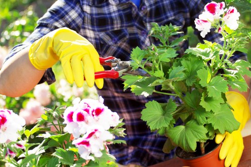 Gardening service terms and conditions overview