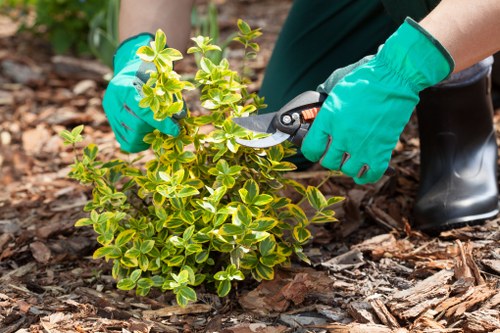 Charity reuse partnership for surplus garden items