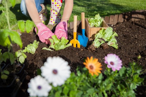 Professional lawn maintenance for Tottenham Hale homes