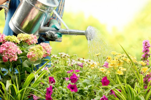 Detailed garden care and lawn upkeep in Tottenham Hale