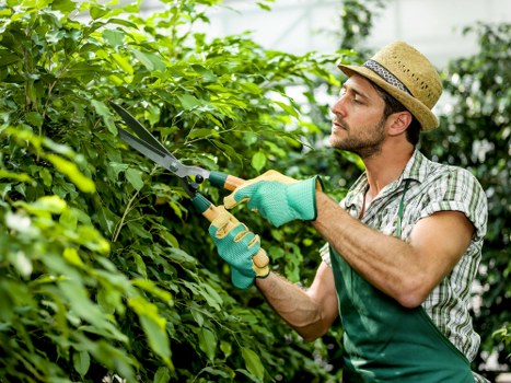 Reporting channels for suspected exploitation in garden services