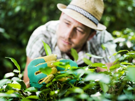Team assessing garden risks before starting work