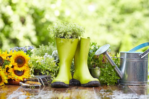 Weeding and plant care in Tottenham Hale garden borders