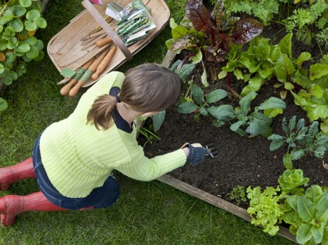 Local gardeners shaping a balanced outdoor space