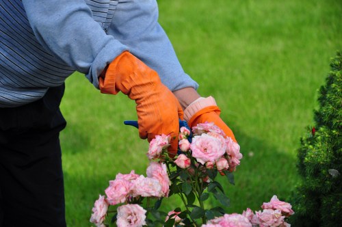 Even grass cutting results in a well-kept Tottenham Hale lawn