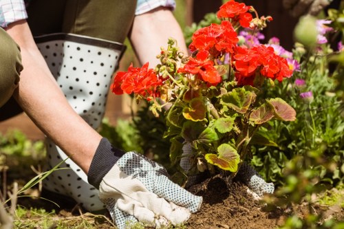 Seasonal plant maintenance in a Tottenham Hale garden