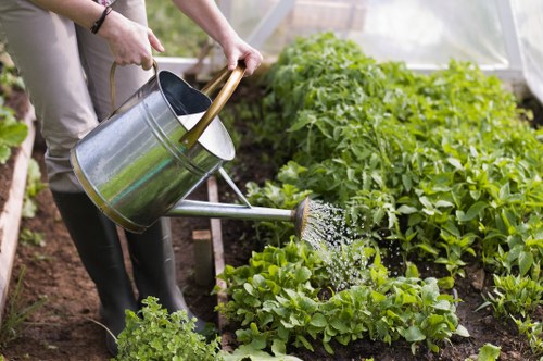 WCAG 2.1 AA accessibility statement for Tottenham Hale gardeners