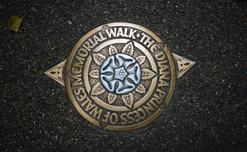 garden outdoor space